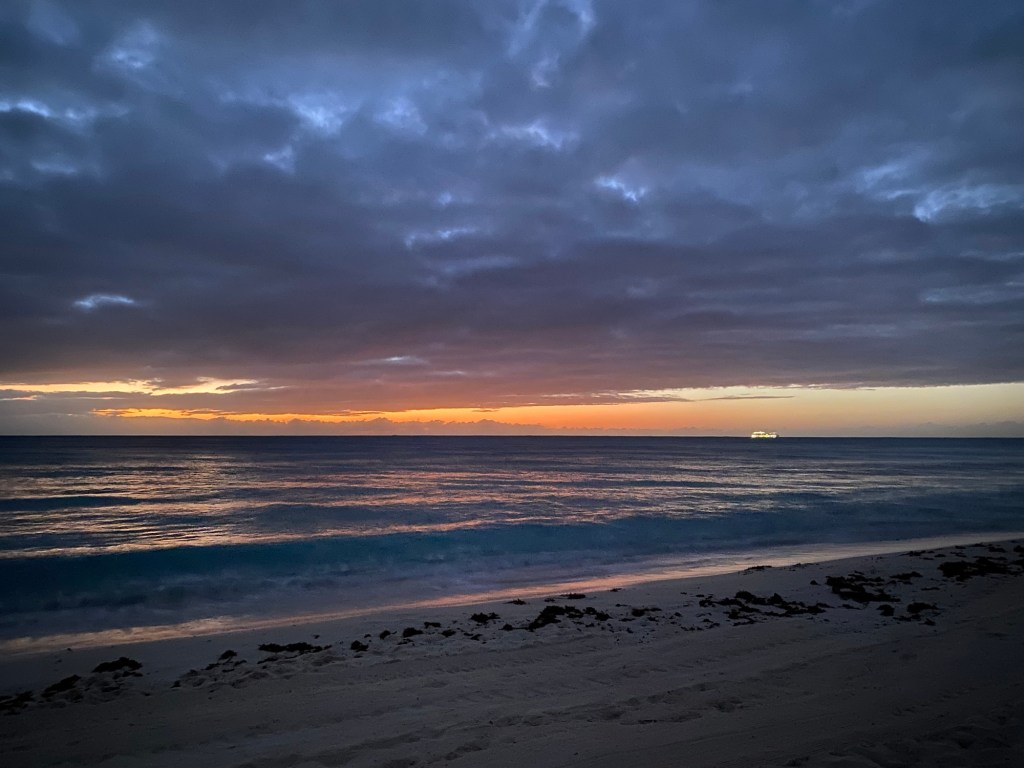 A sight to be&nbsp;seen